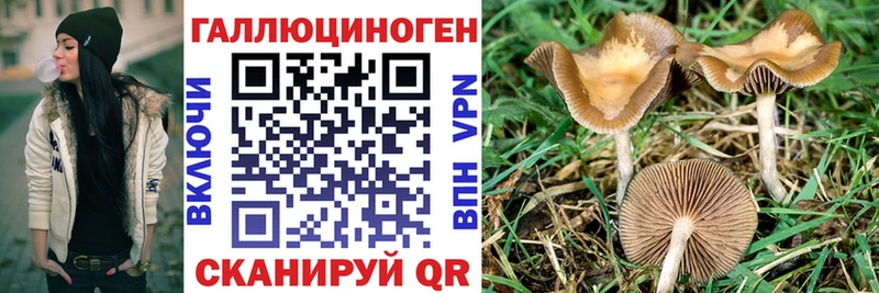 Галлюциногенные грибы Magic Shrooms  blacksprut маркетплейс  Козельск  что такое наркотик 